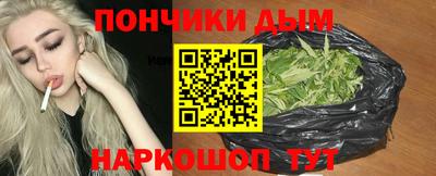 гидропоника Пенза