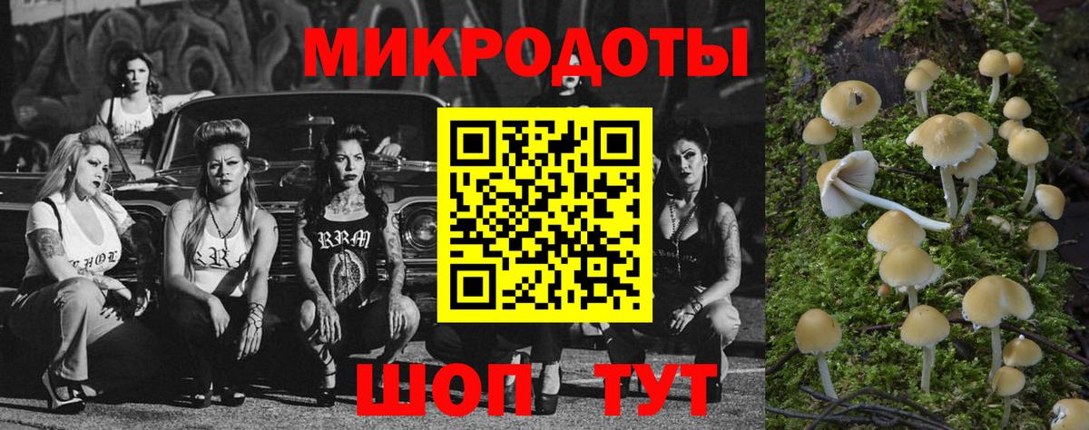 Галлюциногенные грибы Magic Shrooms  Вход с VPN  Россошь  Галлюциногенные грибы Psilocybe 