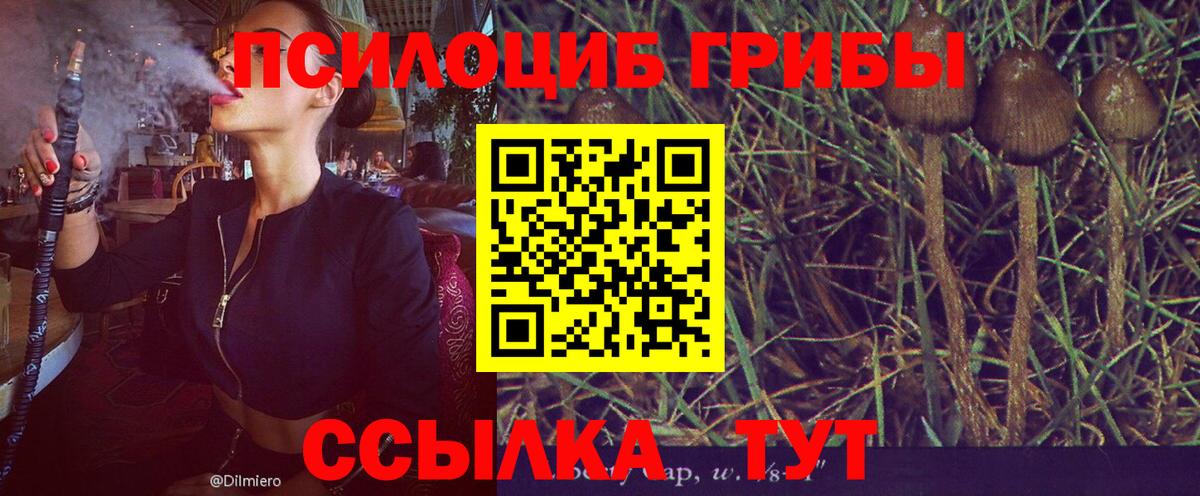 Галлюциногенные грибы GOLDEN TEACHER Россошь